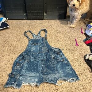 overalls with fun print